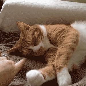 深圳2兄妹身上频现“离奇淤青”，医生：可能是吃出来的！咋回事