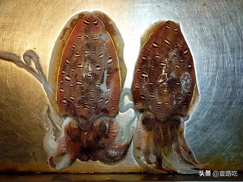 北海|报告！没遇到传销组织，只有吃不尽的海鲜美食