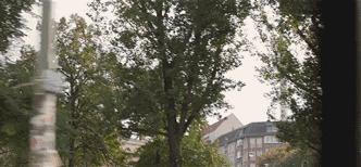 想周游世界,想环游世界短文