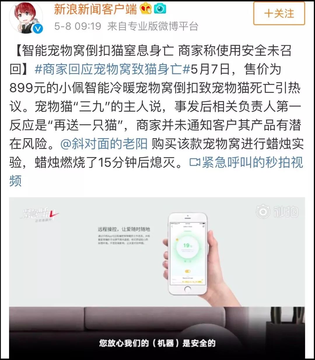 小佩猫窝事件,小佩闷死猫事件