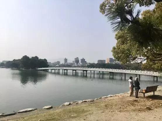 鹿儿岛与熊本,熊本县一日游超全攻略