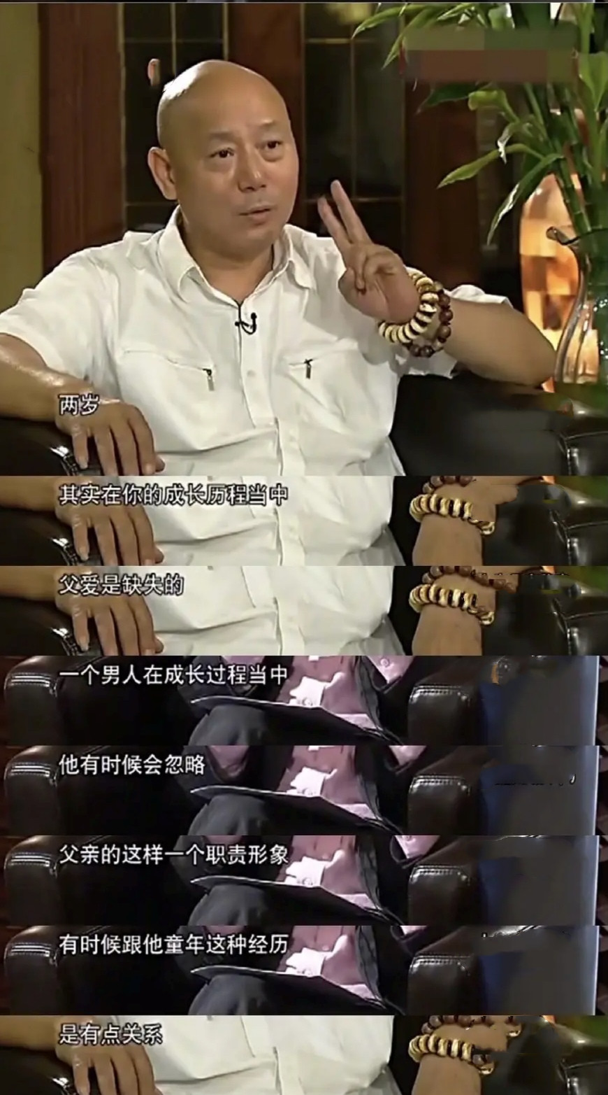 李成儒靠什么发家,李成儒父子现状