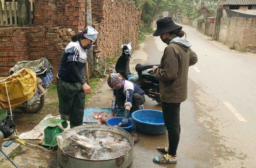 如何看待中国抗疫封城这一举措,越南封城最新状况