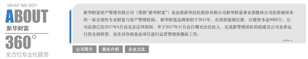 “安信”“海航”“新华”:崩塌中的信仰