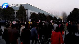 华林传销是骗局吗,权健华林是真传销吗