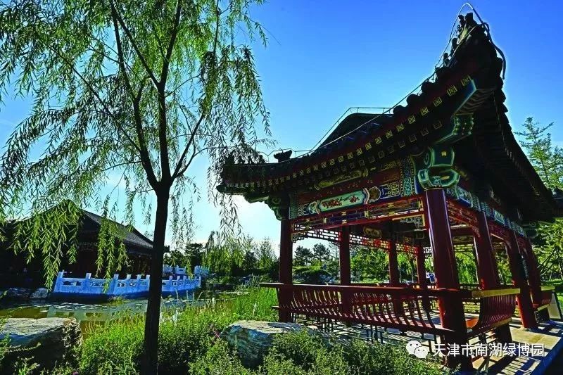 五一天津水上公园游玩需要预约么,五一天津有哪些好玩的地方