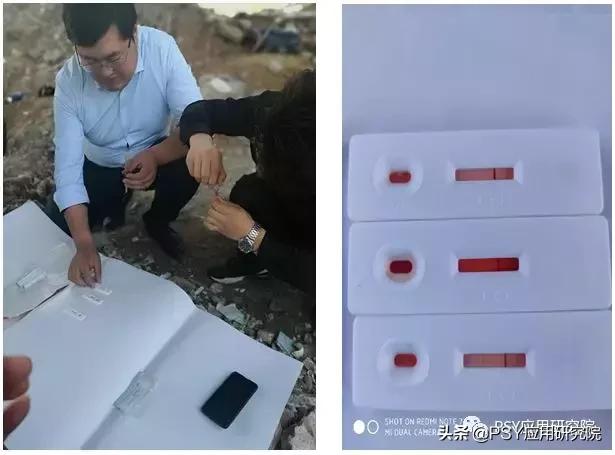 非瘟爆发猪场,猪场非瘟伤亡视频