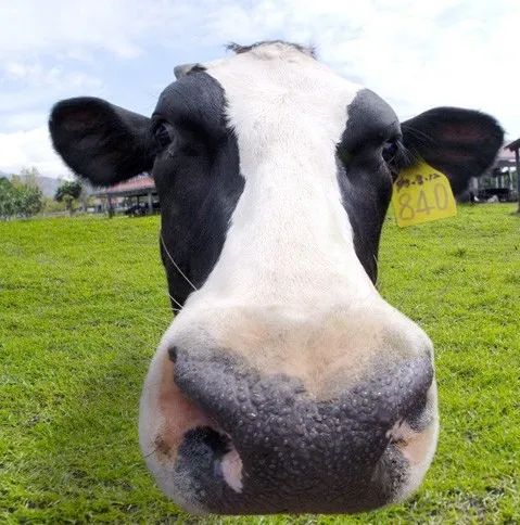 军工板块持续拉升会怎么样,消费板块带动市场下跌