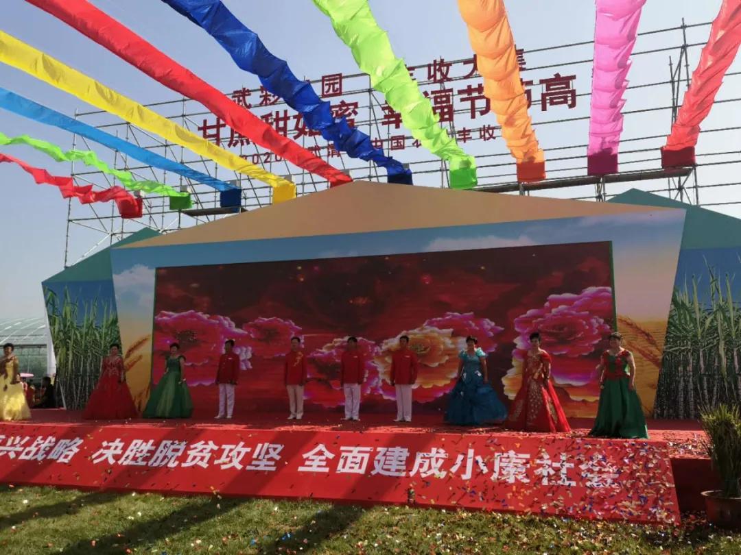 央媒集体点赞,央视新闻联播点赞9万亩小麦