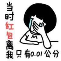 微信红包余额生成器,微信红包生成器像什么样子