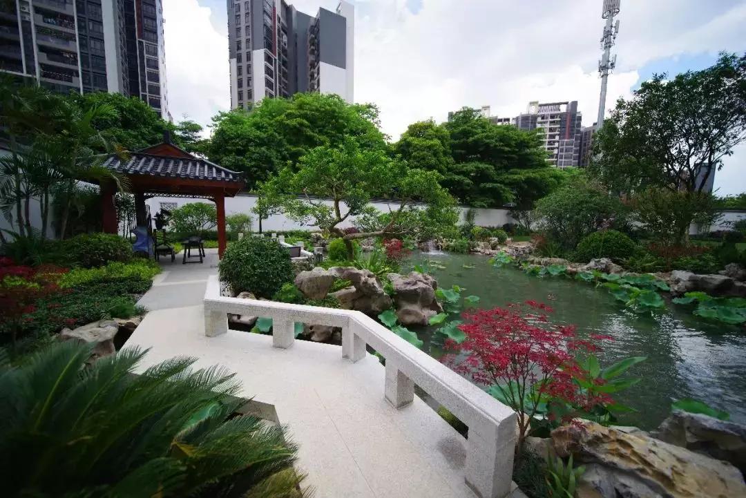 绿城杨柳郡吐槽,绿城杨柳郡缺点