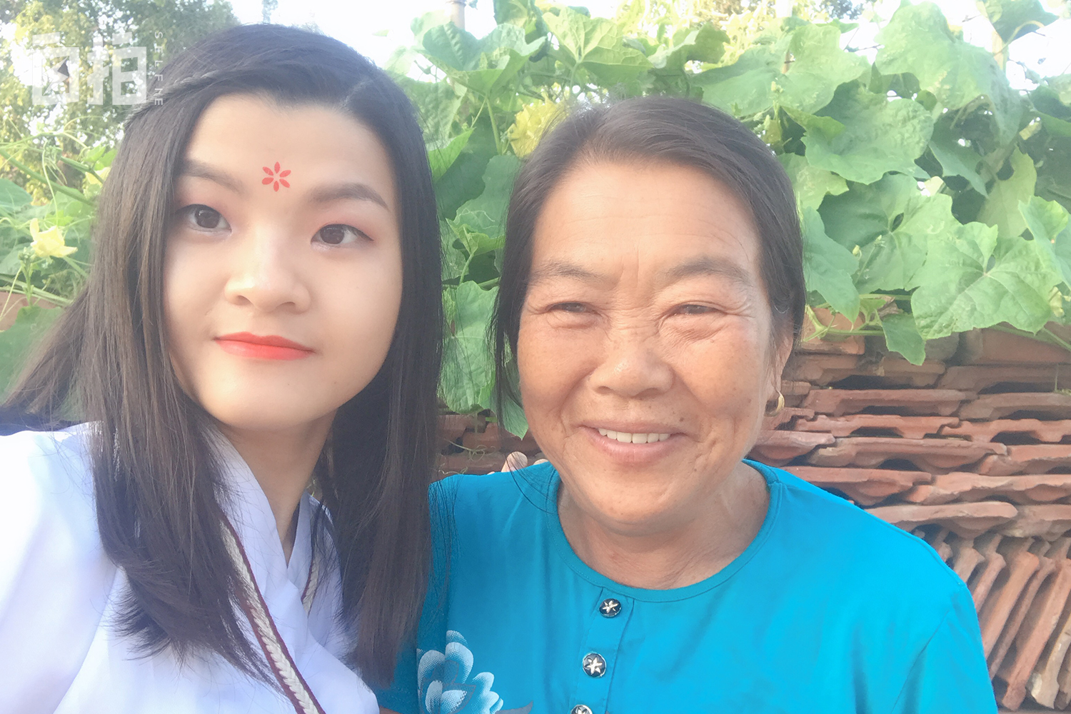 22岁越南女大学生旅游网恋,越南女嫁四川小伙彩礼2万