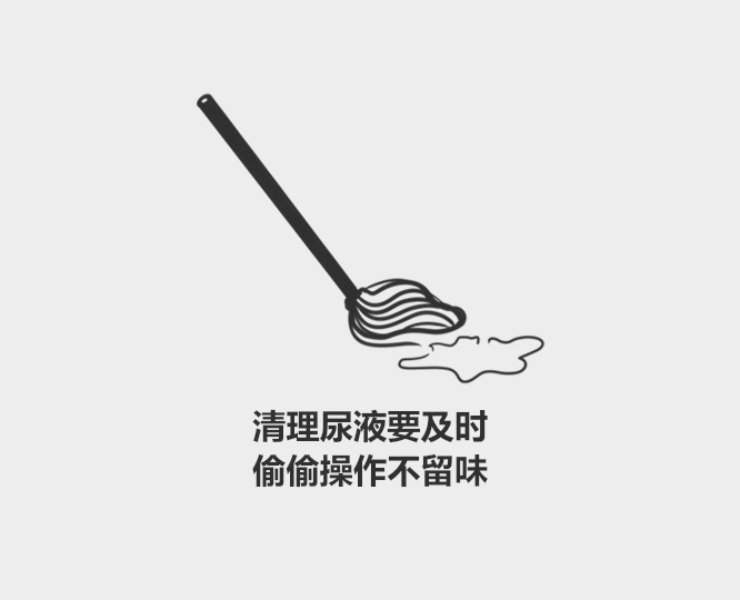 奶猫要多久可以用猫砂,小奶猫用哪种猫砂比较好