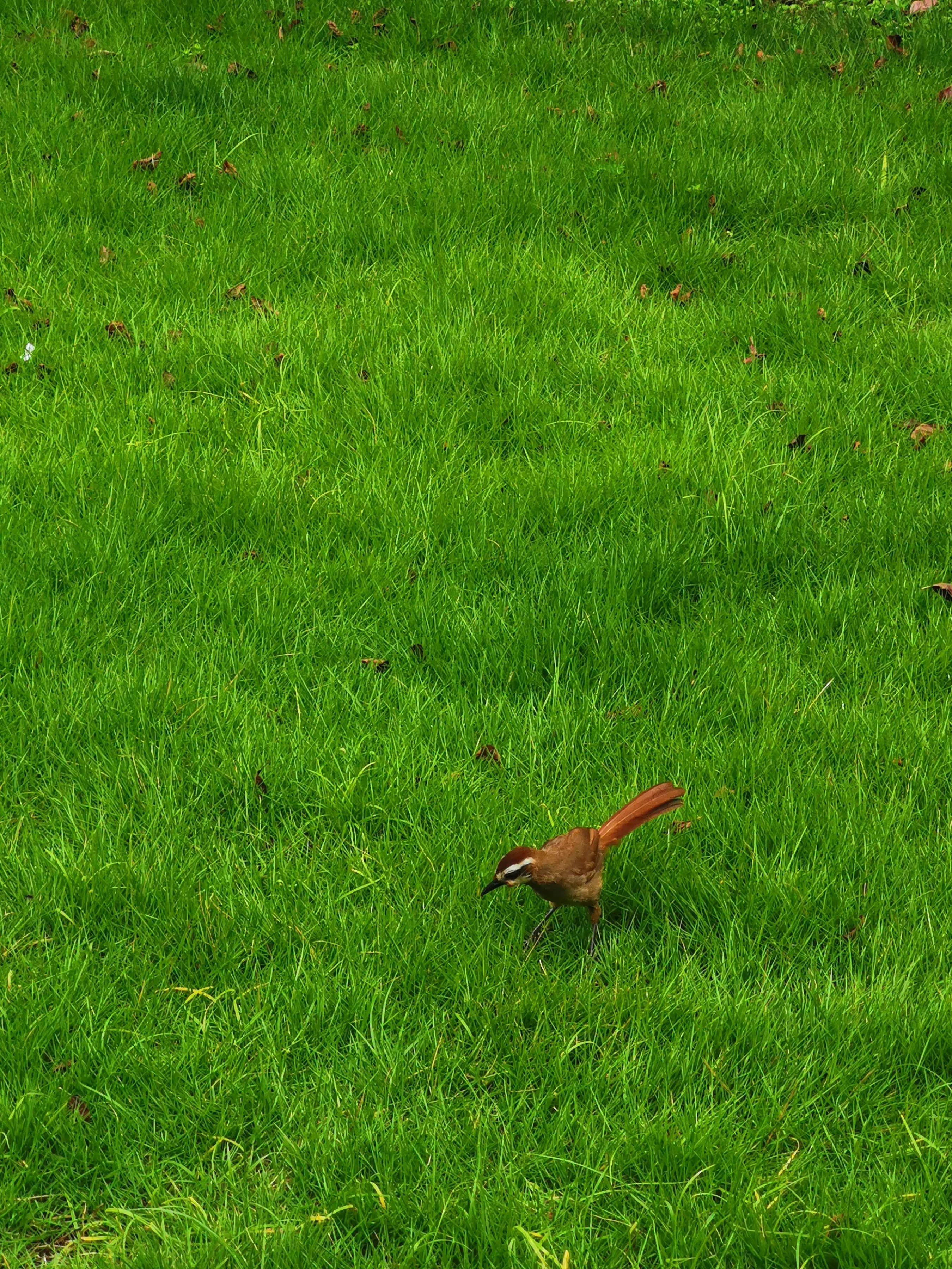 手拍世界投稿,手拍世界作品专集