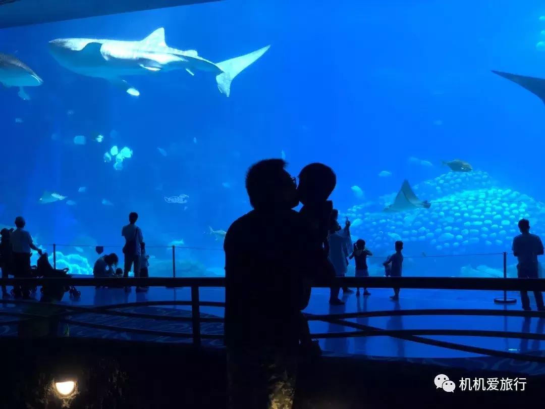 珠海和广州长隆旅游攻略,珠海长隆乐园游玩攻略