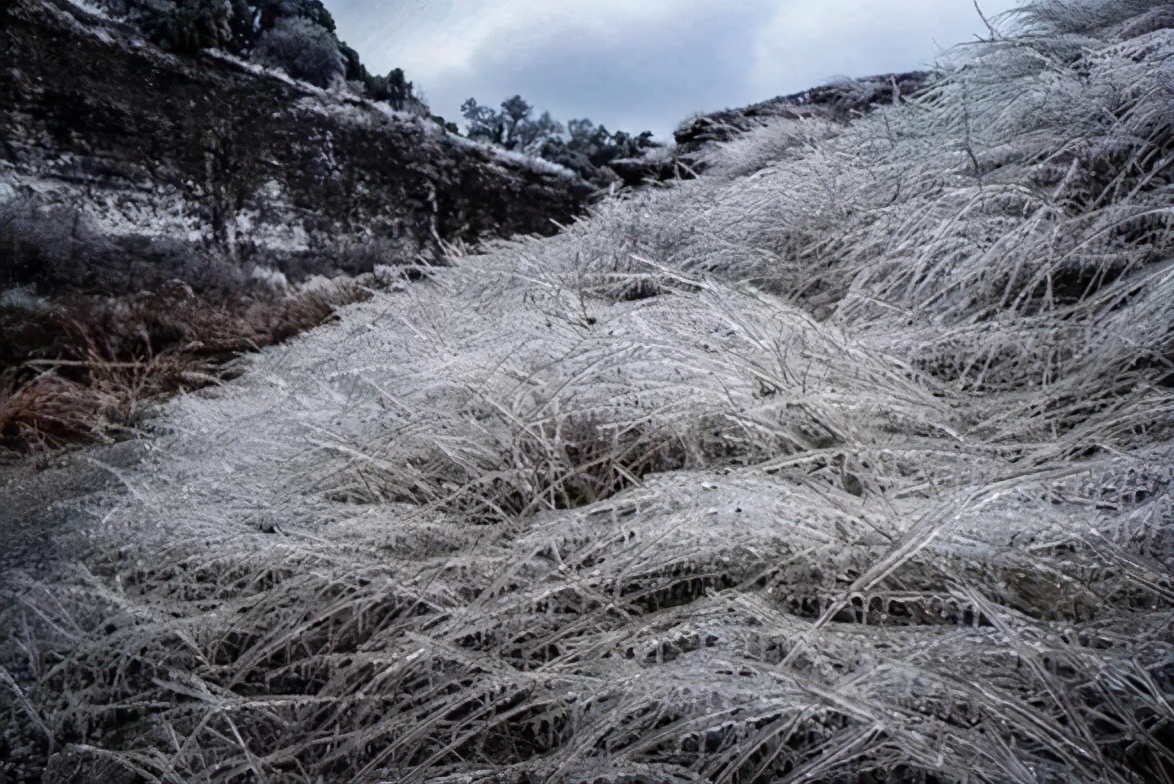 美国得州大暴风雪,直击寒潮暴击后的美国得州