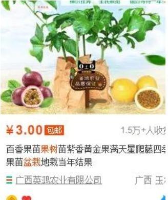 在闲鱼卖水果怎么赚钱变现,闲鱼种树免费得水果