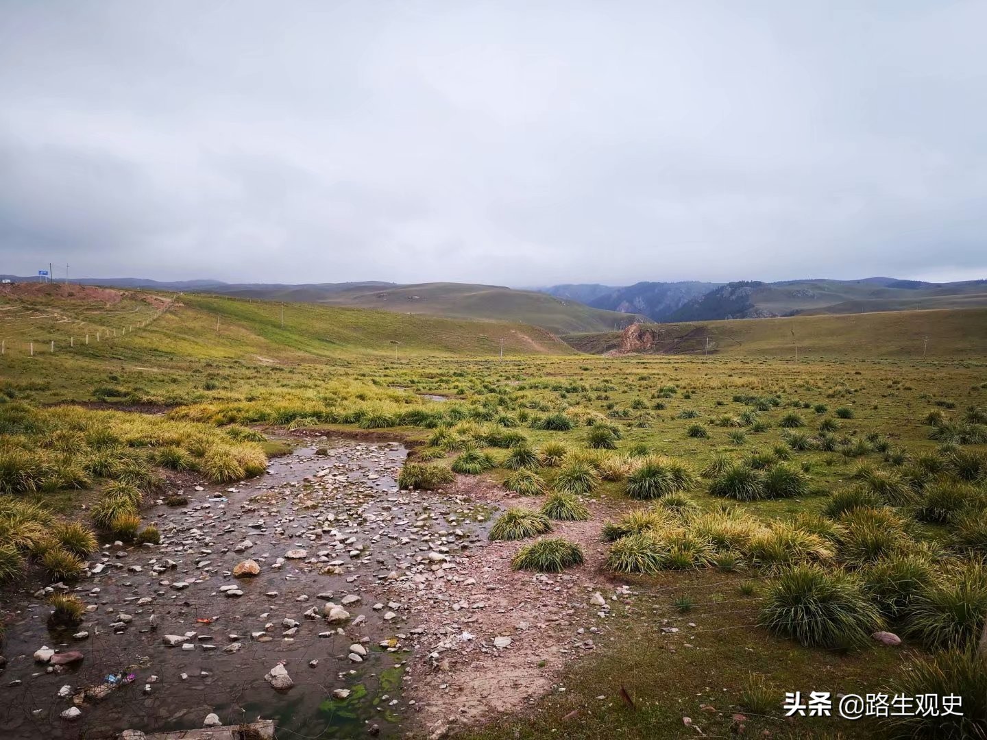 山丹军马场历史,山丹军马场的历史