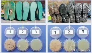 猪场清洁消毒有神方？齐齐剁手十大神器！