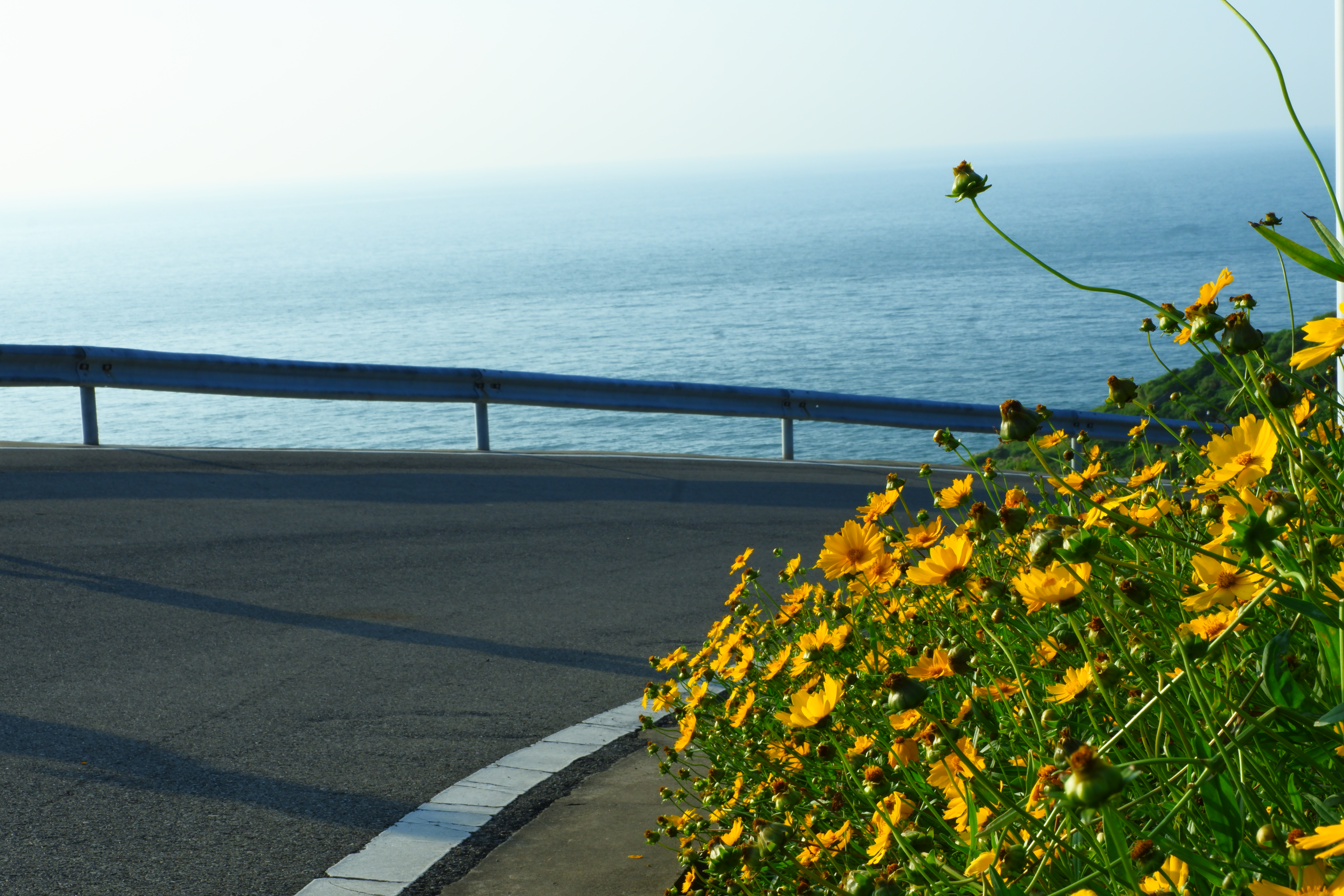 圣托里尼最美荧光海 (圣托里尼荧光海)