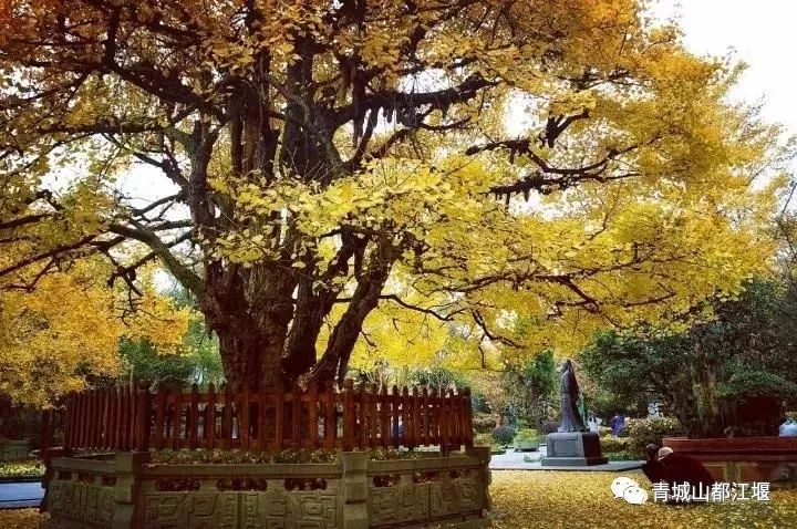 在古村落拍照怎么摆姿势好看,在古堰拍照姿势