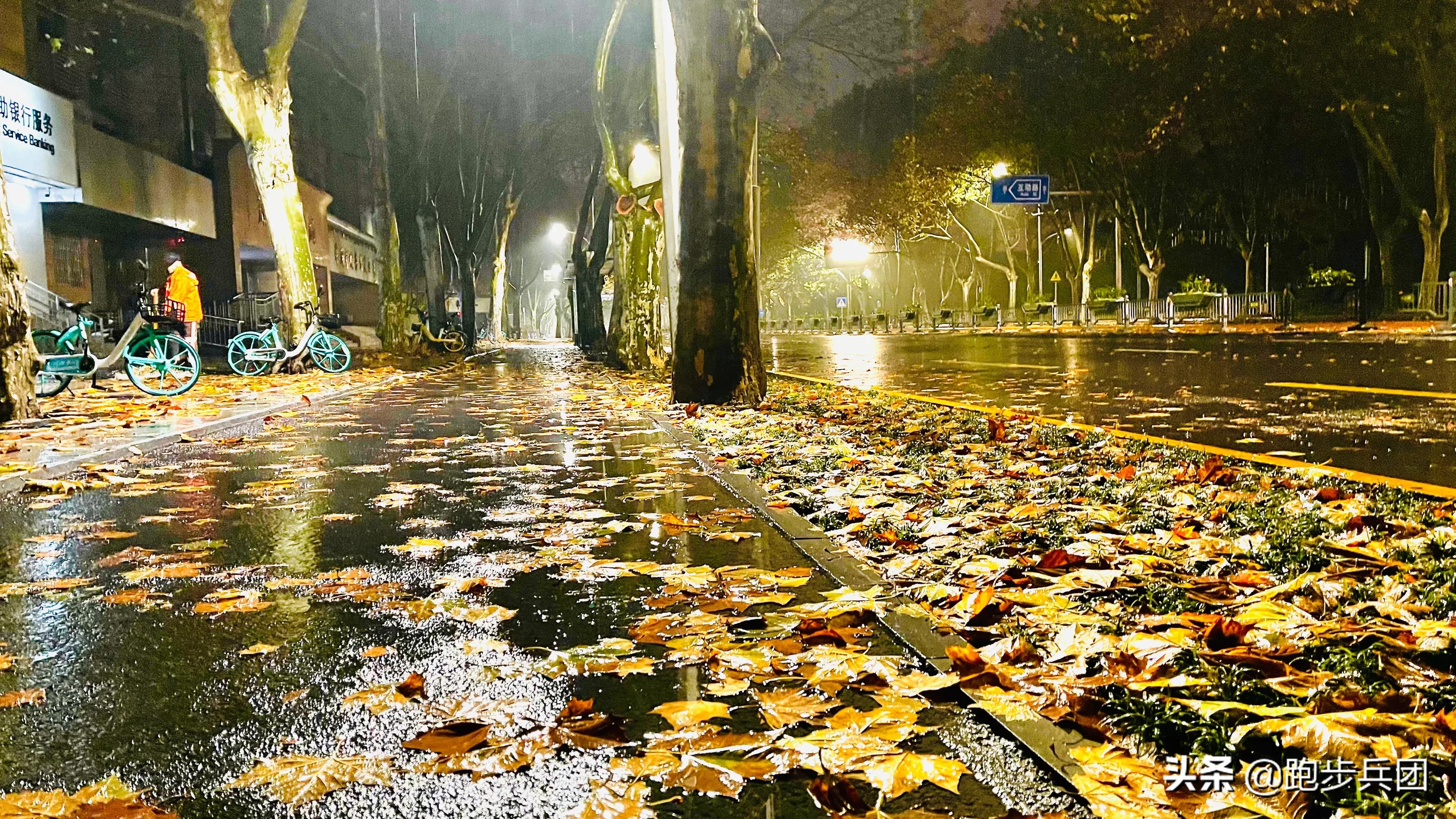 多威mr90201ddsp,多威mr9619跑鞋如何