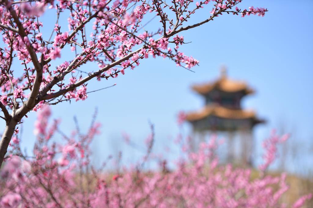 天津中医药大学中医药排名,天津中医药大学性价比