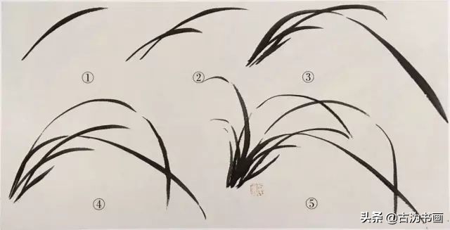 徐湛国画兰花技法教学,国画兰花入门技法