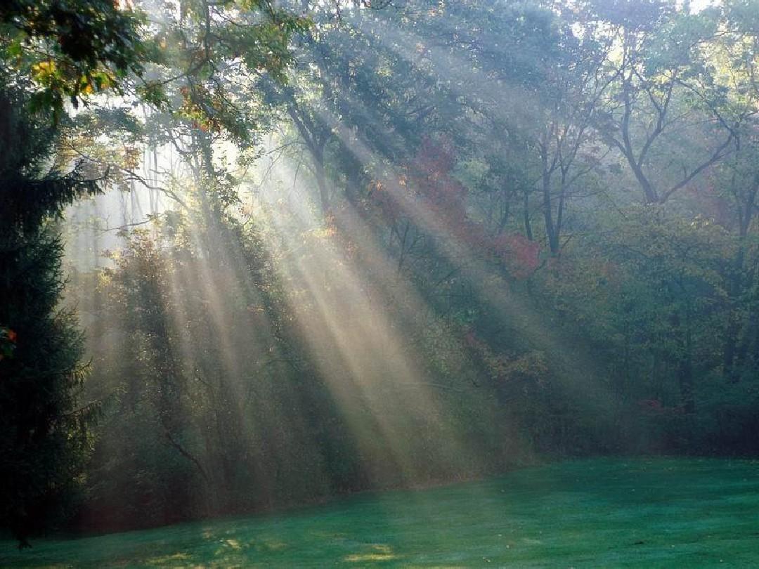 男生遭侵害该怎么办,男生怎么看待被侵害的女生