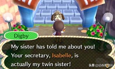 动森npc,动森能邀请几个npc来岛上居住