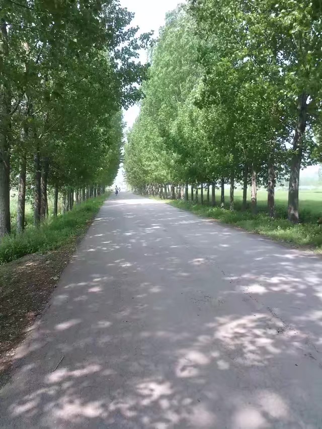 我与外婆的时光,我的童年记忆外婆