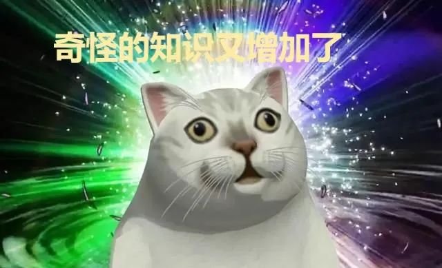 罗非鱼直肠,罗非鱼塞进直肠多长时间