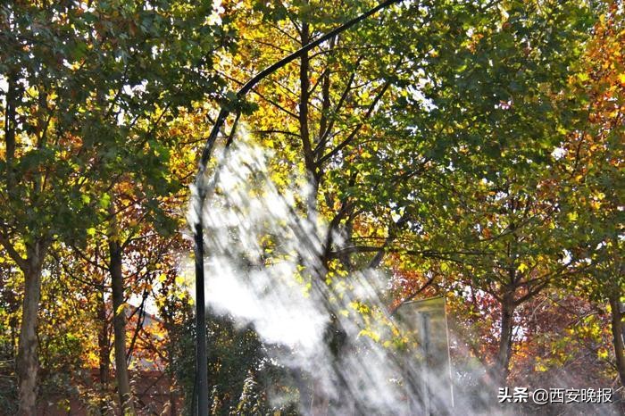 路灯降尘除霾系统,道路路灯智能雾化降尘喷雾