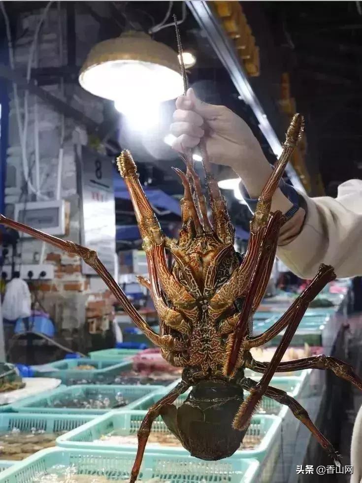 珠海南屏海鲜攻略值得推荐,珠海南屏吃海鲜的地方