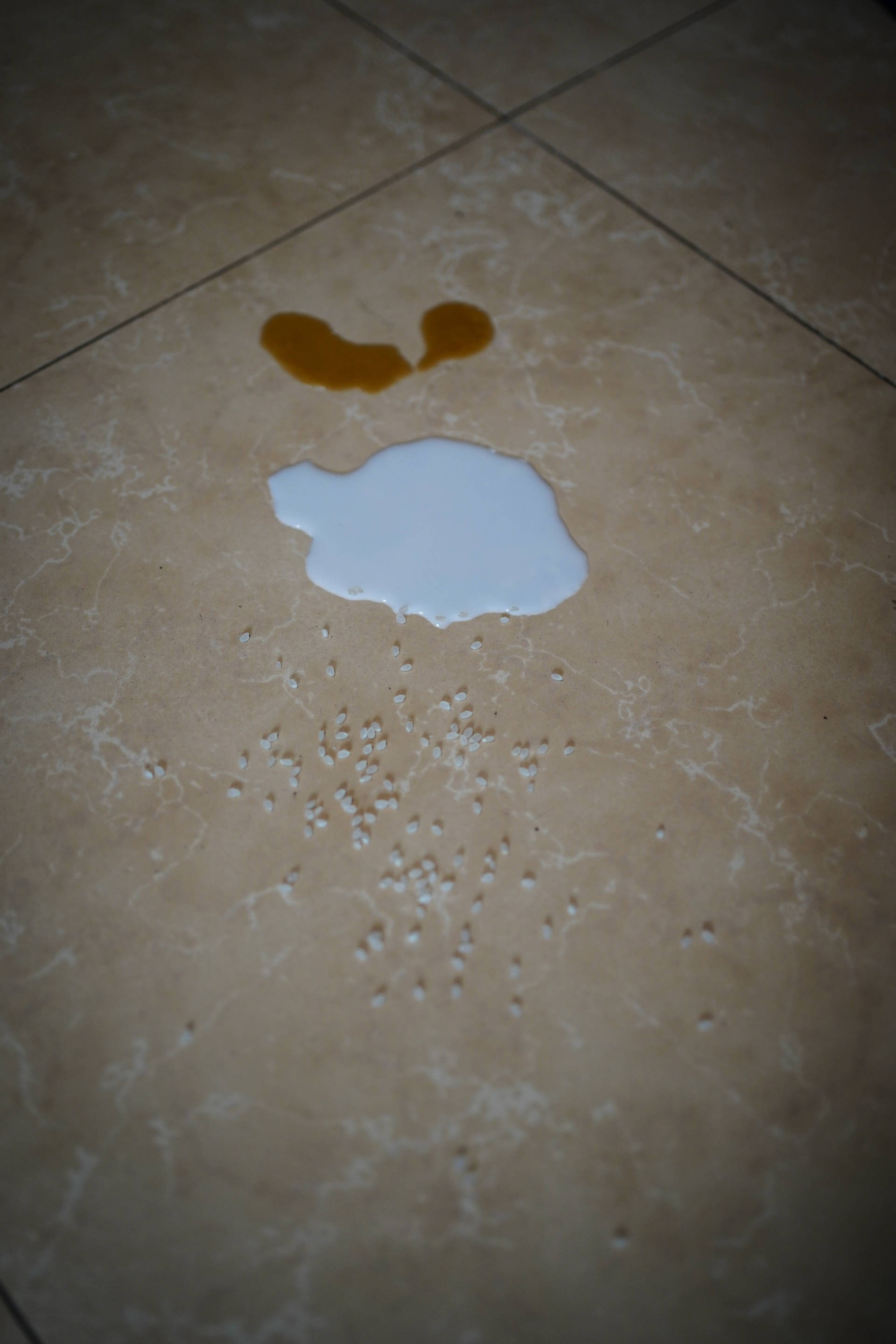 洗地机vs扫地机器人吸尘器,洗地机比机器人干净