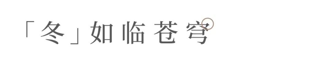 关于我们的茶生活的美文,茶与生活的美文