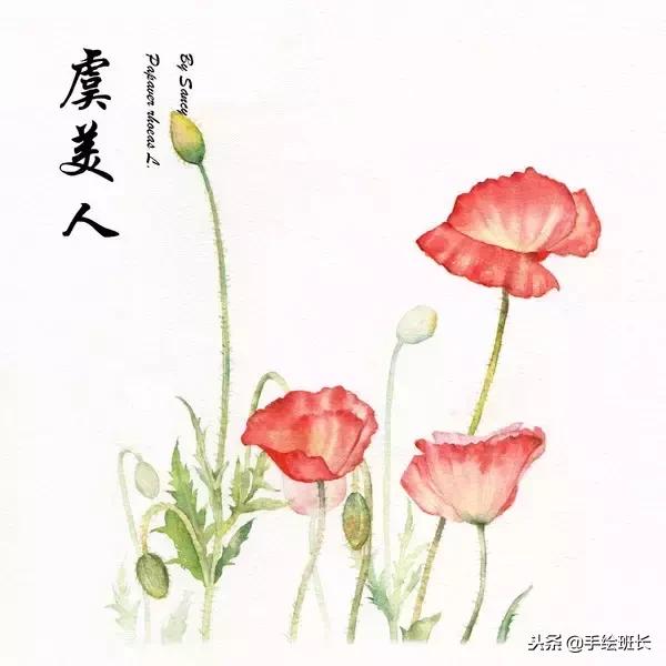 固体水彩颜料新手入门教程,水彩插画新手入门教程