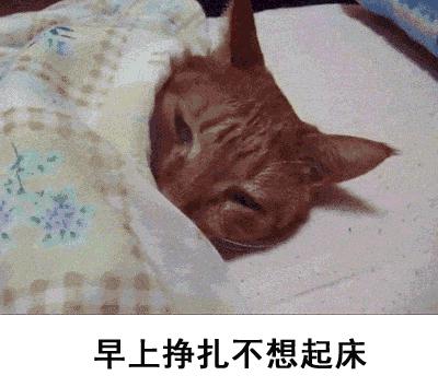 不想上班表情包