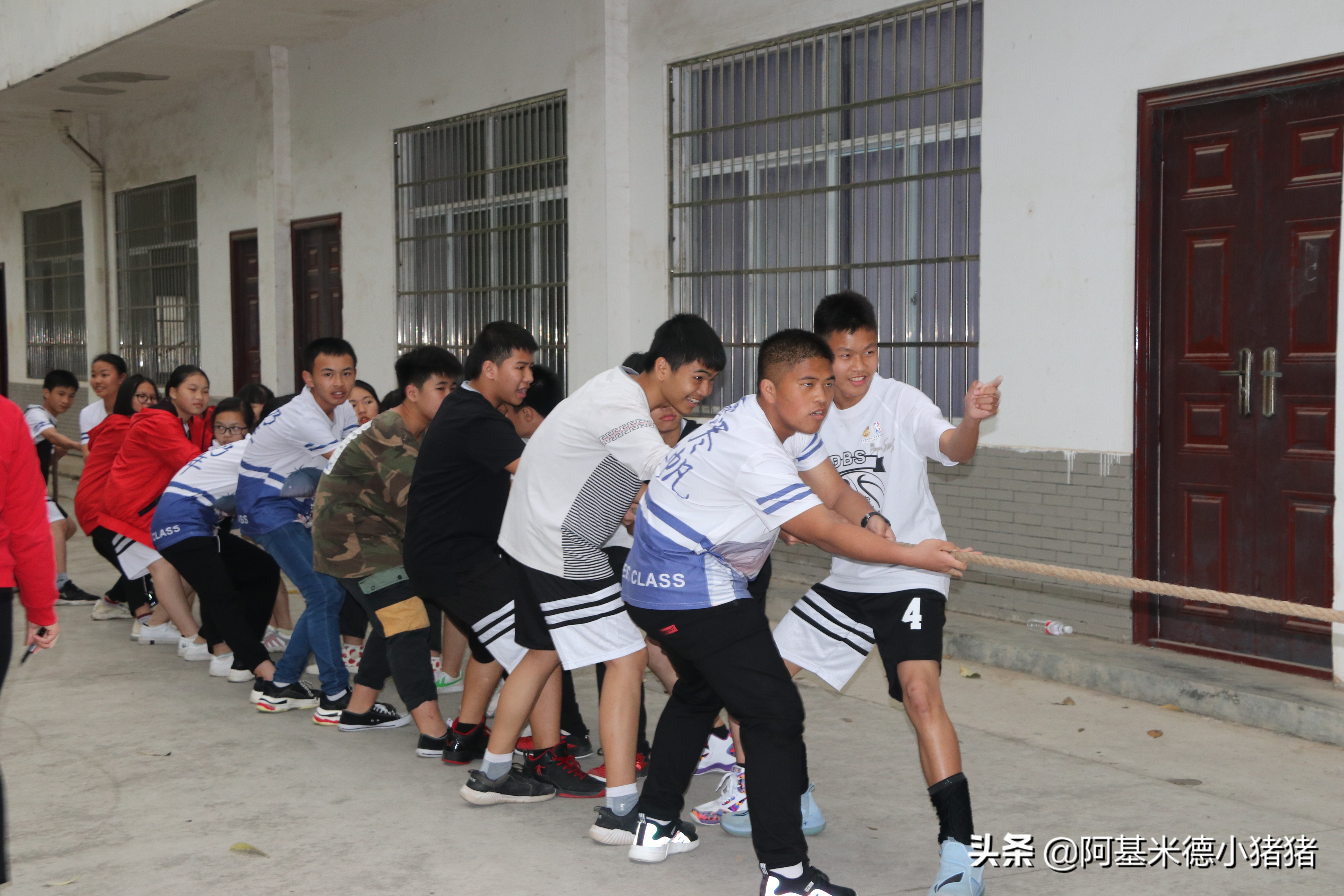 教师公招包括哪些科目,广西教师公招时间