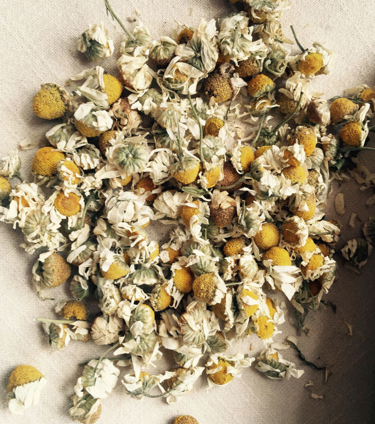 自制纯露的正确使用方法,自制纯露的方法大全