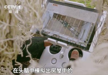 真正的中国军人战狼,战狼里面有几个真正的军人