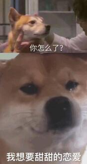 《像*女素**友》等20款恋爱游戏来袭，一起踏上鹊桥，将爱神俘虏吧