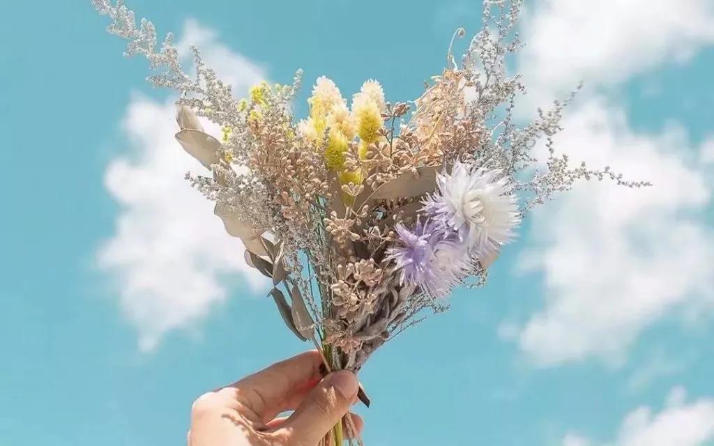 北大新传专硕读研,北大新传考研和中传哪个难