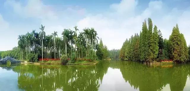 广州比较适合年轻人去的地方,广州最适合年轻人去的地方