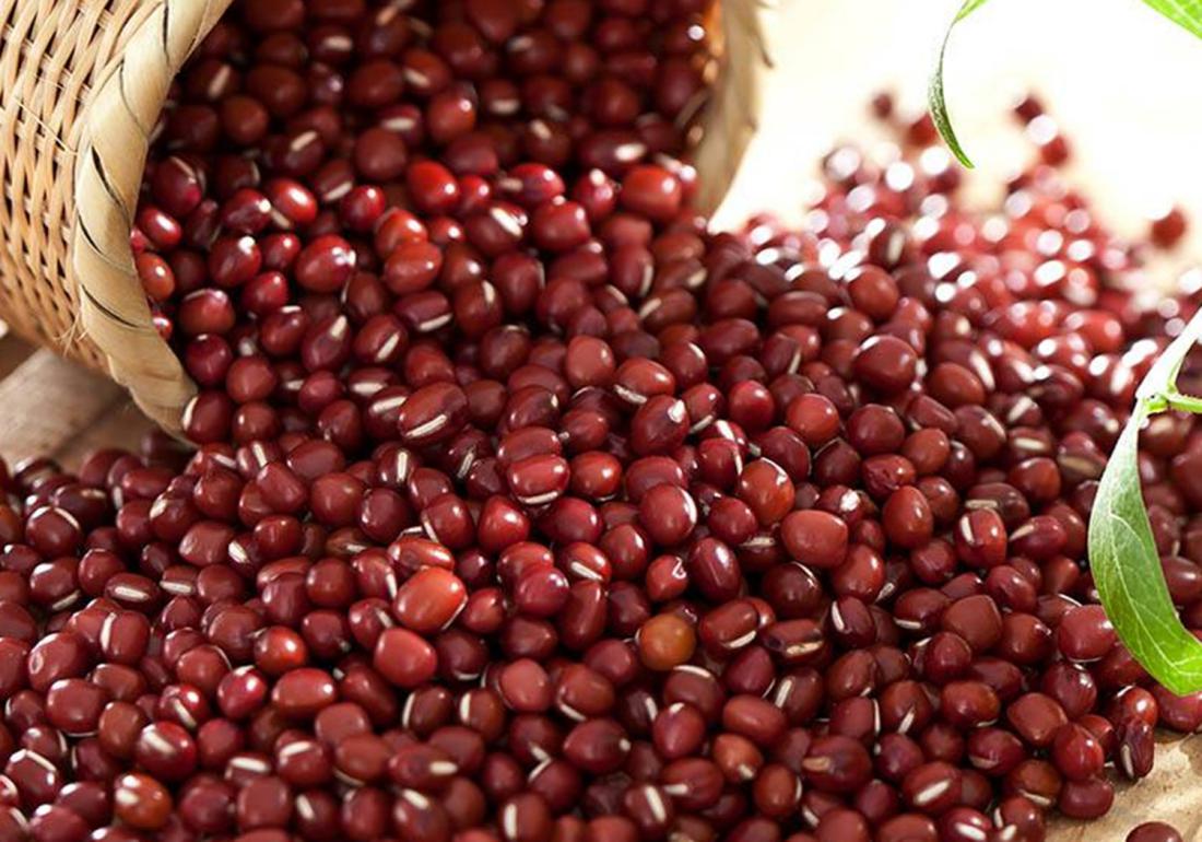 红小豆适合什么土壤种植,红小豆播种和管理