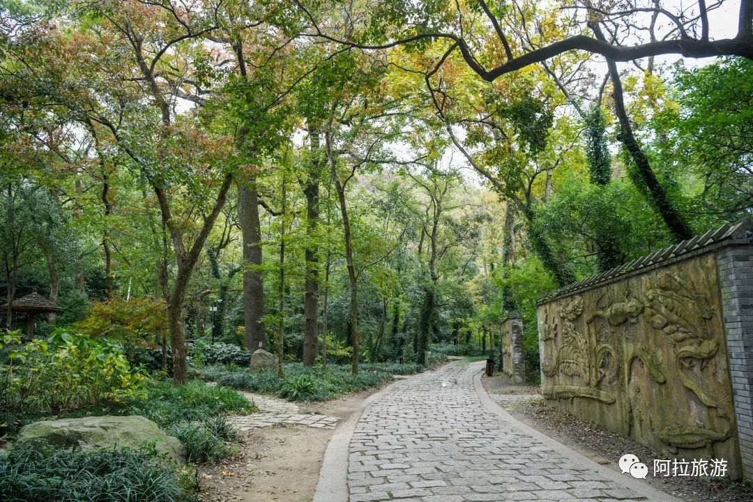 时髦！这座沿海小城居然藏着一波小众新玩法！|“...
