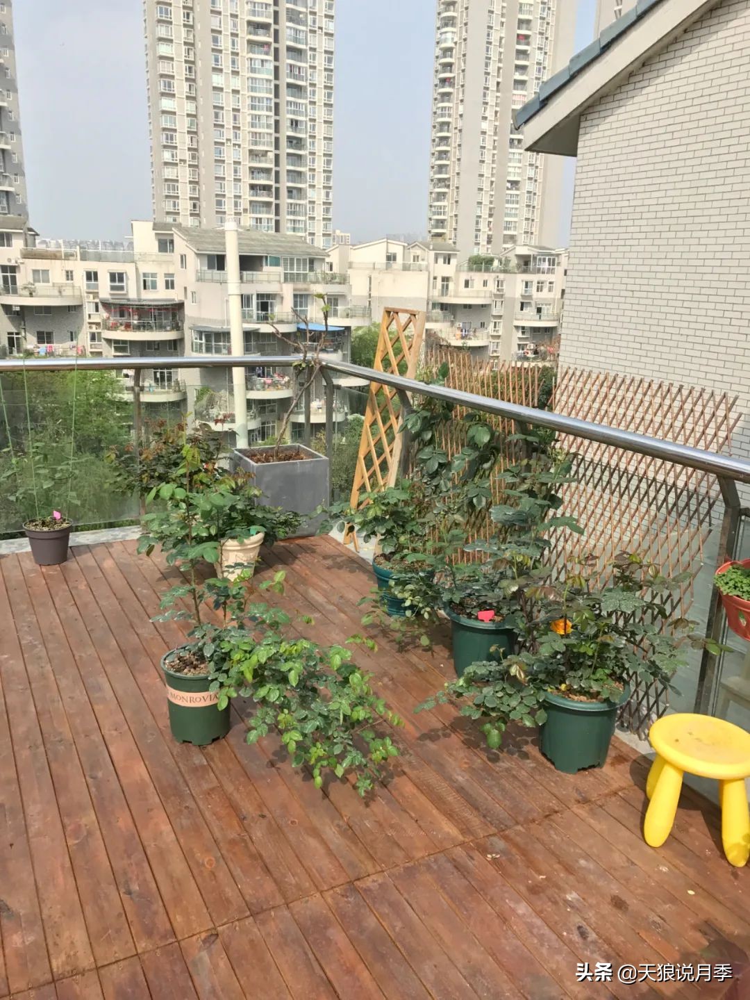 如何打造四季开花的花园,如何打造四季都有花的花园