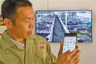 温氏发展的四大驱动力,我们自豪我们骄傲