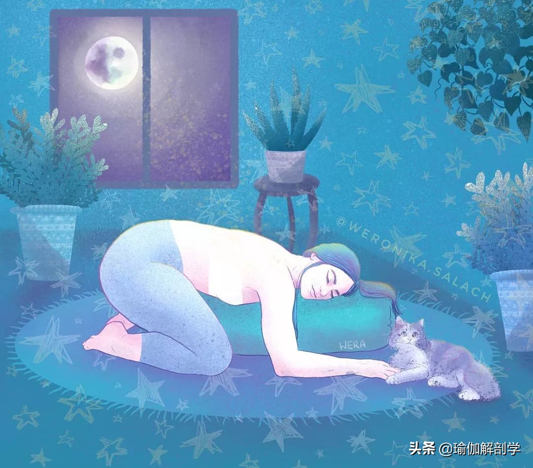 瑜伽练习的六个原则,瑜伽初学者必学的2个体式