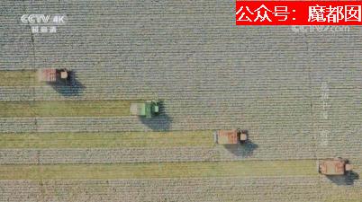 *辱侮**中国！HM、优衣库、ZARA、耐克、阿迪达斯等引公愤